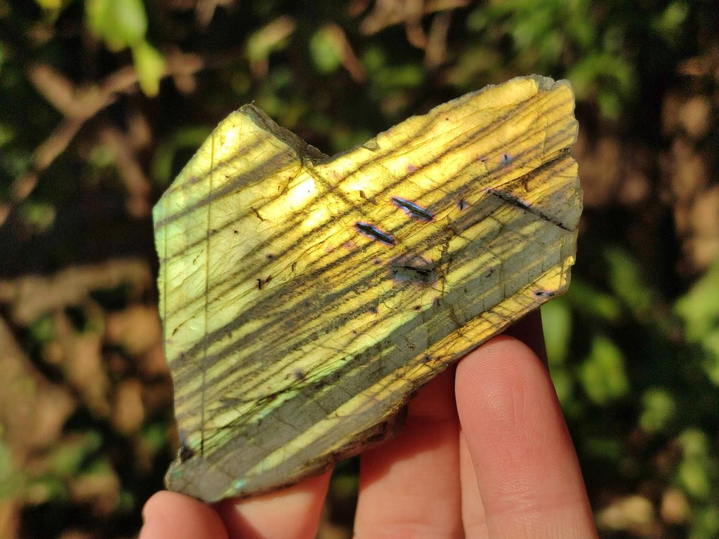 Polished One Side Labradorite Display Pieces x 24 From Madagascar - Toprock Gemstones and Minerals 