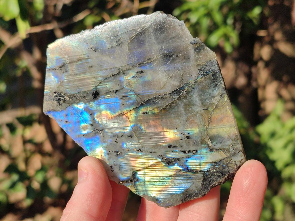 Polished One Side Labradorite Display Pieces x 24 From Madagascar - Toprock Gemstones and Minerals 