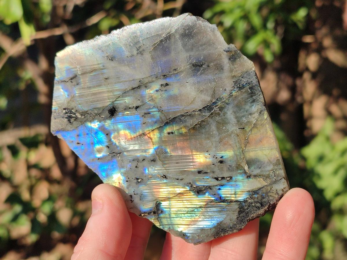 Polished One Side Labradorite Display Pieces x 24 From Madagascar - Toprock Gemstones and Minerals 