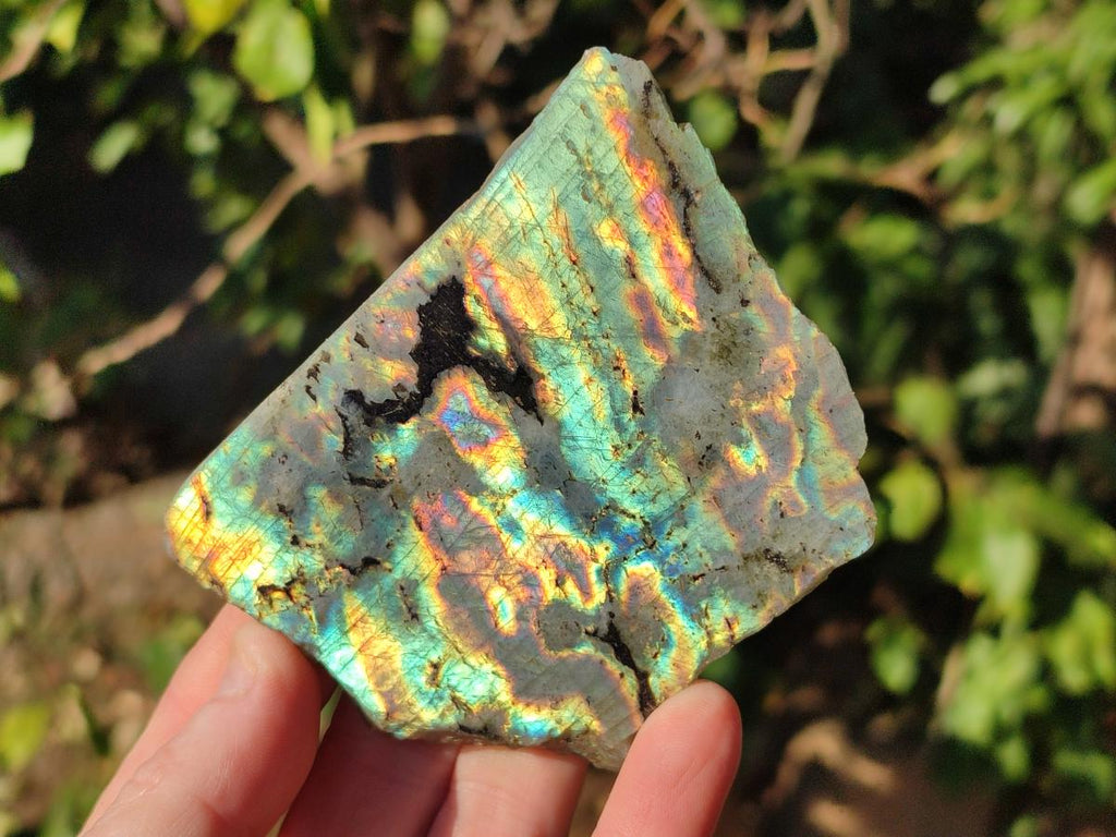 Polished One Side Labradorite Display Pieces x 24 From Madagascar - Toprock Gemstones and Minerals 