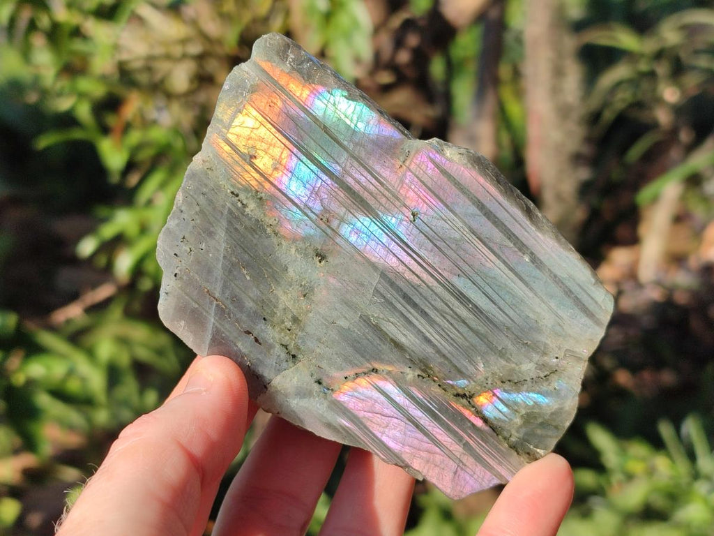 Polished One Side Labradorite Display Pieces x 24 From Madagascar - Toprock Gemstones and Minerals 
