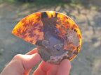 Polished Cleoniceras Ammonite Fossil Pairs x 6 From Tulear, Madagascar - Toprock Gemstones and Minerals 
