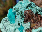 Natural Drusy Chrysocolla with Malachite on Copper Dolomite x 1 From Lupoto Mine, Congo - Toprock Gemstones and Minerals 