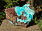 Natural Drusy Chrysocolla with Malachite on Copper Dolomite x 1 From Lupoto Mine, Congo - Toprock Gemstones and Minerals 