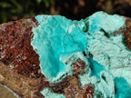 Natural Drusy Chrysocolla with Malachite on Copper Dolomite x 1 From Lupoto Mine, Congo - Toprock Gemstones and Minerals 
