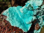Natural Drusy Chrysocolla with Malachite on Copper Dolomite x 1 From Lupoto Mine, Congo - Toprock Gemstones and Minerals 