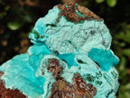 Natural Drusy Chrysocolla with Malachite on Copper Dolomite x 1 From Lupoto Mine, Congo - Toprock Gemstones and Minerals 