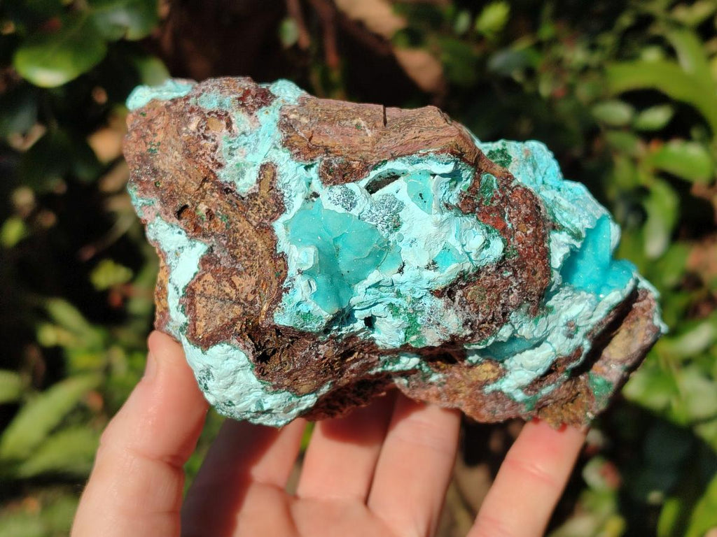 Natural Drusy Chrysocolla with Malachite on Copper Dolomite x 1 From Lupoto Mine, Congo - Toprock Gemstones and Minerals 
