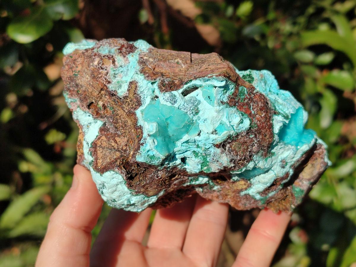 Natural Drusy Chrysocolla with Malachite on Copper Dolomite x 1 From Lupoto Mine, Congo - Toprock Gemstones and Minerals 