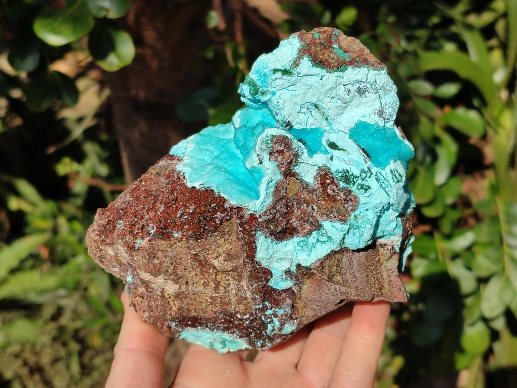 Natural Drusy Chrysocolla with Malachite on Copper Dolomite x 1 From Lupoto Mine, Congo - Toprock Gemstones and Minerals 