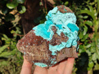 Natural Drusy Chrysocolla with Malachite on Copper Dolomite x 1 From Lupoto Mine, Congo - Toprock Gemstones and Minerals 