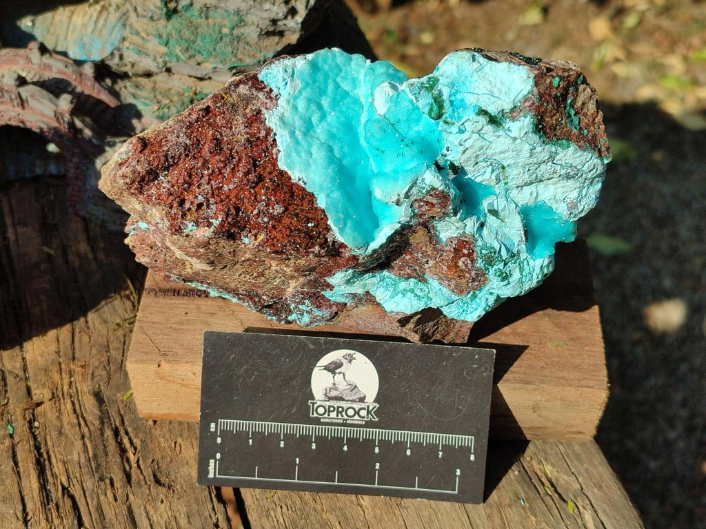 Natural Drusy Chrysocolla with Malachite on Copper Dolomite x 1 From Lupoto Mine, Congo - Toprock Gemstones and Minerals 