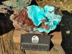 Natural Drusy Chrysocolla with Malachite on Copper Dolomite x 1 From Lupoto Mine, Congo - Toprock Gemstones and Minerals 