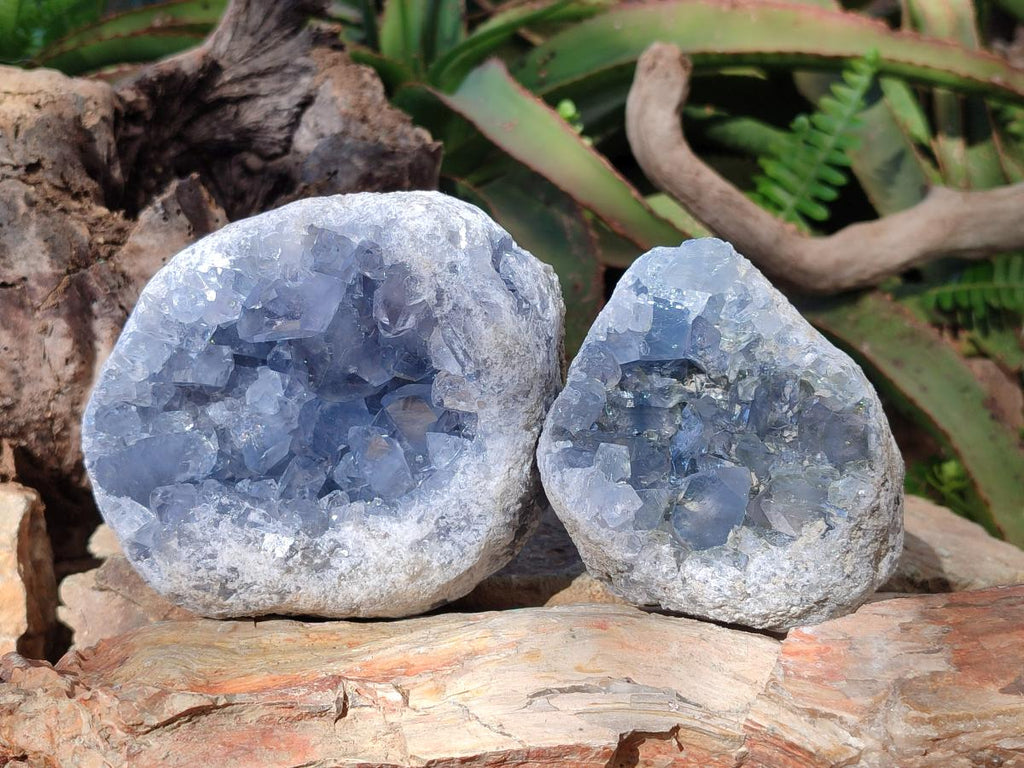 Natural Blue Celestite Geode Specimens x 2 From Sakoany, Madagascar - Toprock Gemstones and Minerals 