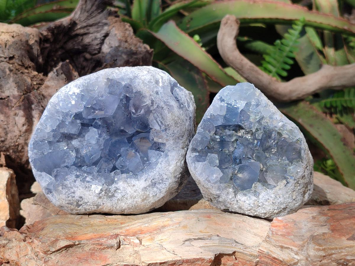 Natural Blue Celestite Geode Specimens x 2 From Sakoany, Madagascar - Toprock Gemstones and Minerals 