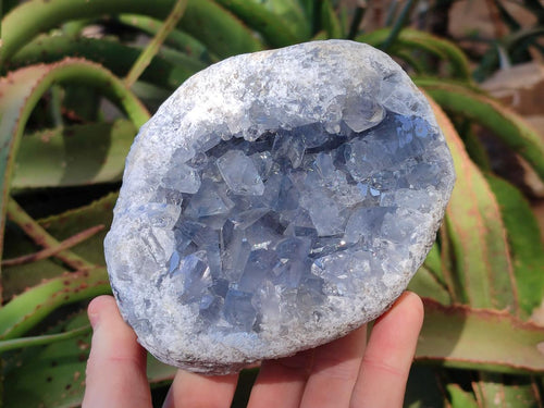 Natural Blue Celestite Geode Specimens x 2 From Sakoany, Madagascar - Toprock Gemstones and Minerals 