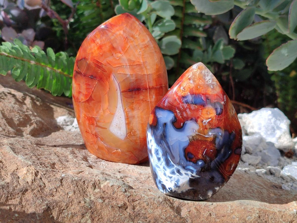 Polished Carnelian Agate Gemstone Flames x 7 From Madagascar - Toprock Gemstones and Minerals 