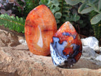 Polished Carnelian Agate Gemstone Flames x 7 From Madagascar - Toprock Gemstones and Minerals 