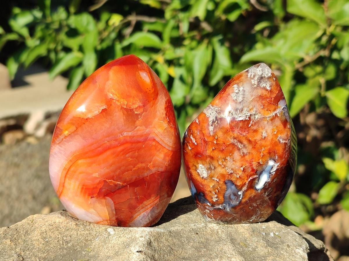 Polished Carnelian Agate Gemstone Flames x 7 From Madagascar - Toprock Gemstones and Minerals 