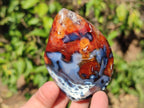 Polished Carnelian Agate Gemstone Flames x 7 From Madagascar - Toprock Gemstones and Minerals 
