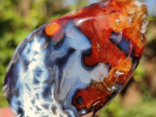 Polished Carnelian Agate Gemstone Flames x 7 From Madagascar - Toprock Gemstones and Minerals 