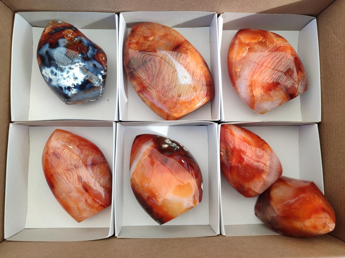 Polished Carnelian Agate Gemstone Flames x 7 From Madagascar - Toprock Gemstones and Minerals 