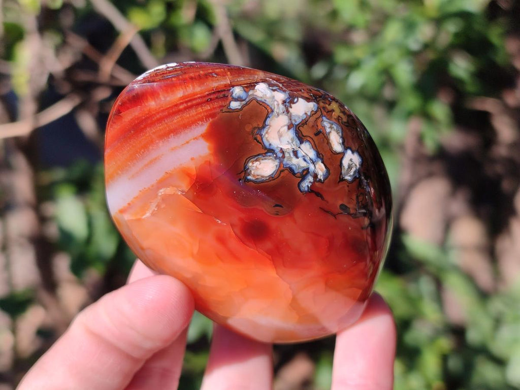 Polished Carnelian Agate Gemstone Flames x 7 From Madagascar - Toprock Gemstones and Minerals 