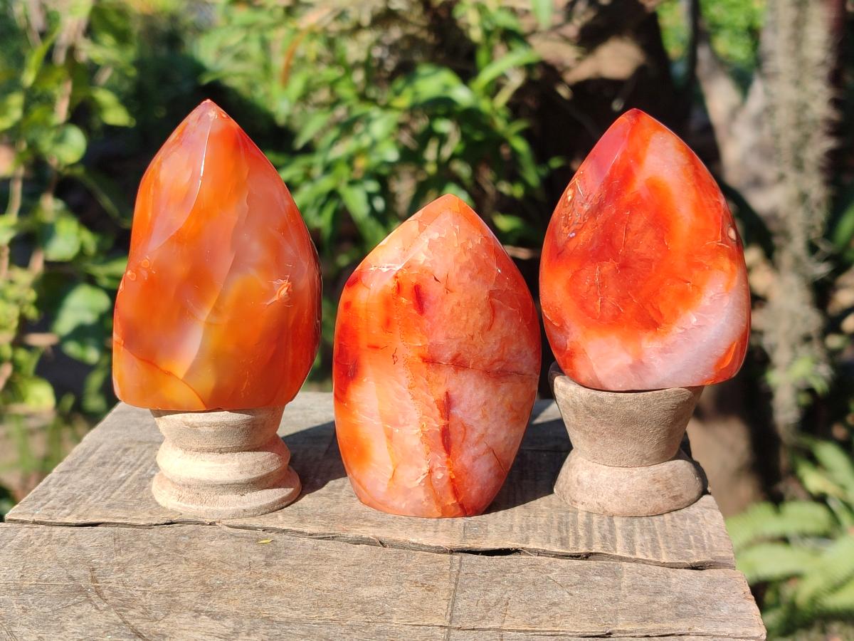 Polished Carnelian Agate Gemstone Flames x 7 From Madagascar - Toprock Gemstones and Minerals 