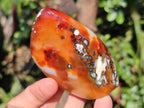 Polished Carnelian Agate Gemstone Flames x 7 From Madagascar - Toprock Gemstones and Minerals 