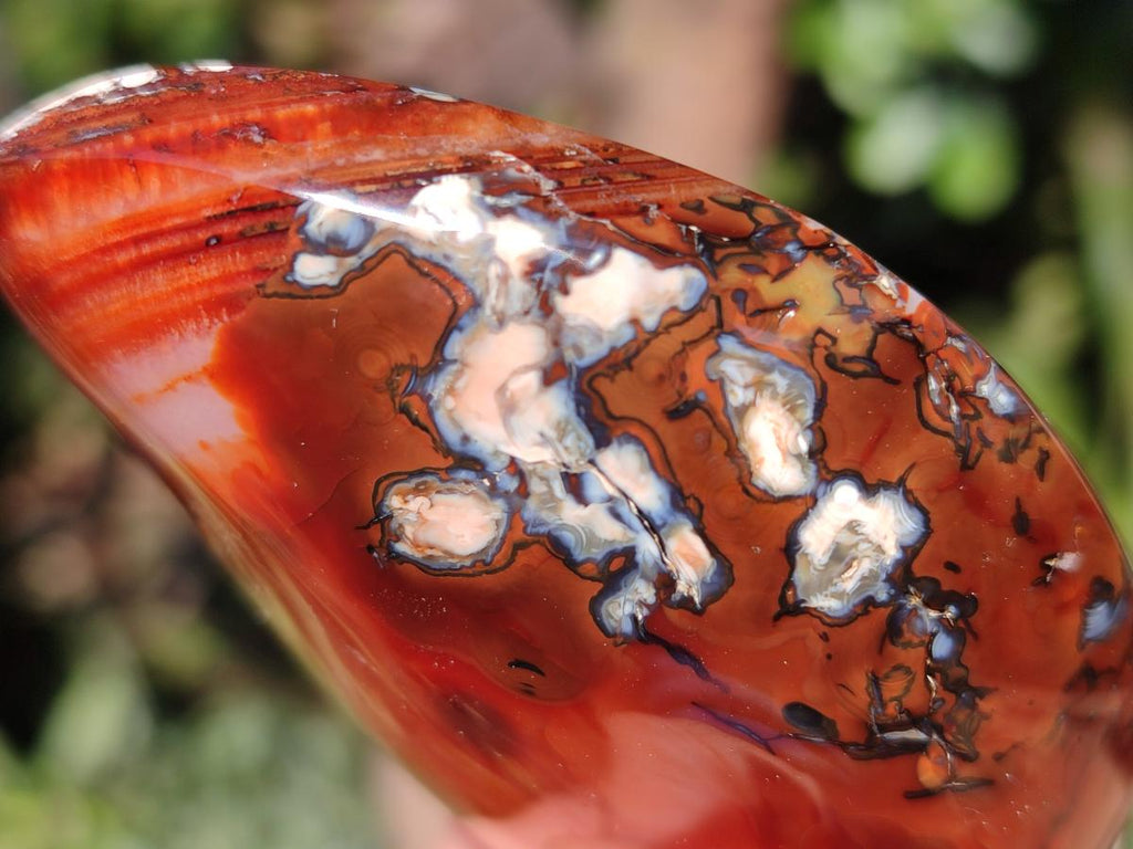 Polished Carnelian Agate Gemstone Flames x 7 From Madagascar - Toprock Gemstones and Minerals 