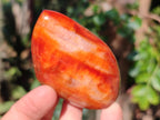 Polished Carnelian Agate Gemstone Flames x 7 From Madagascar - Toprock Gemstones and Minerals 