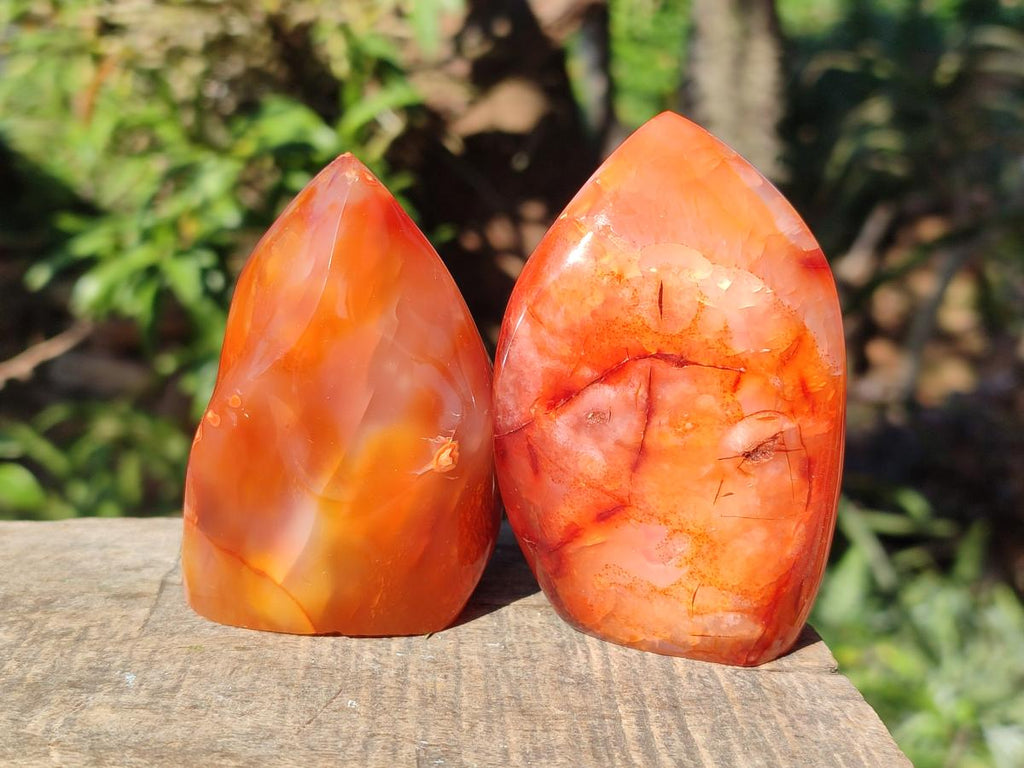 Polished Carnelian Agate Gemstone Flames x 7 From Madagascar - Toprock Gemstones and Minerals 