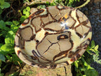 Polished Large Septerye Bowl x 1 From Mahajanga, Madagascar - Toprock Gemstones and Minerals 