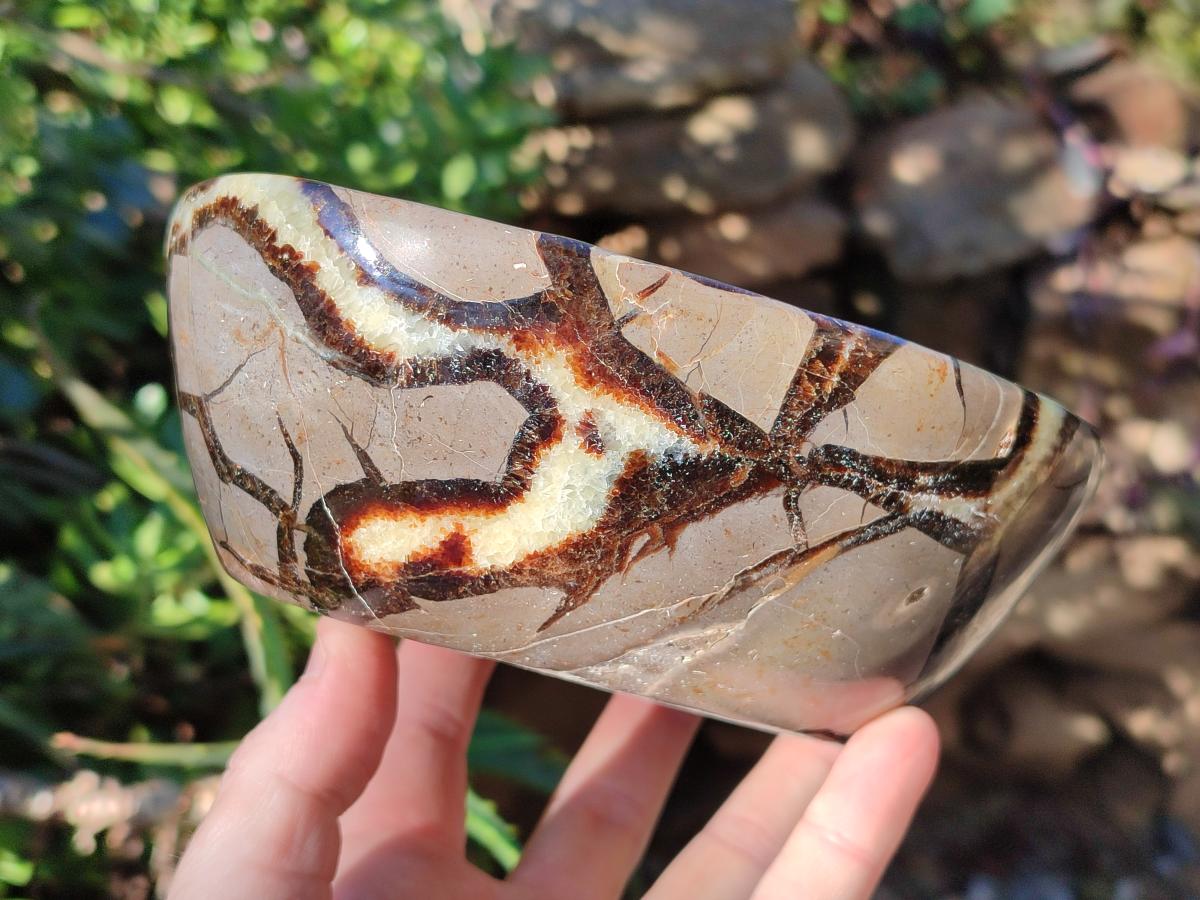 Polished Large Septerye Bowl x 1 From Mahajanga, Madagascar - Toprock Gemstones and Minerals 