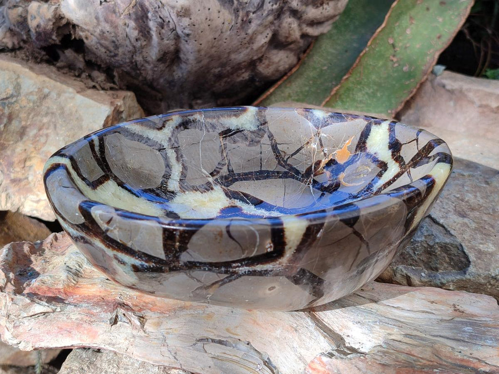 Polished Large Septerye Bowl x 1 From Mahajanga, Madagascar - Toprock Gemstones and Minerals 
