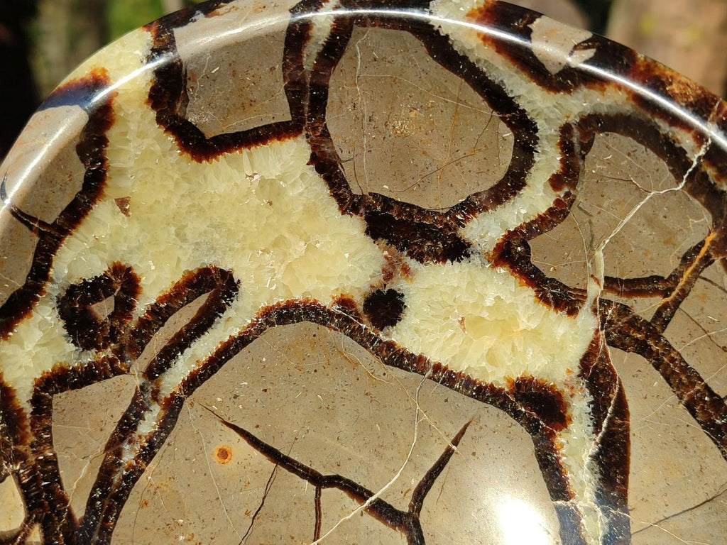 Polished Large Septerye Bowl x 1 From Mahajanga, Madagascar - Toprock Gemstones and Minerals 