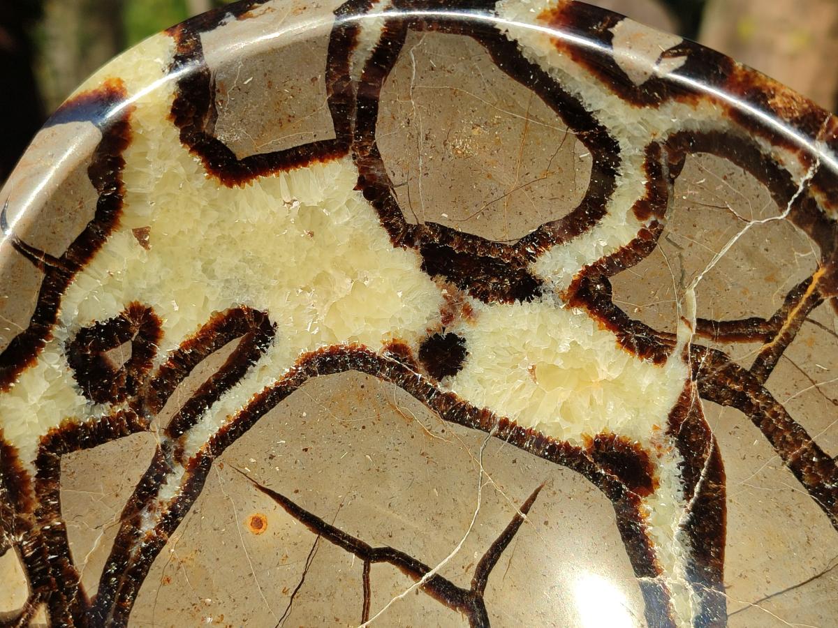 Polished Large Septerye Bowl x 1 From Mahajanga, Madagascar - Toprock Gemstones and Minerals 