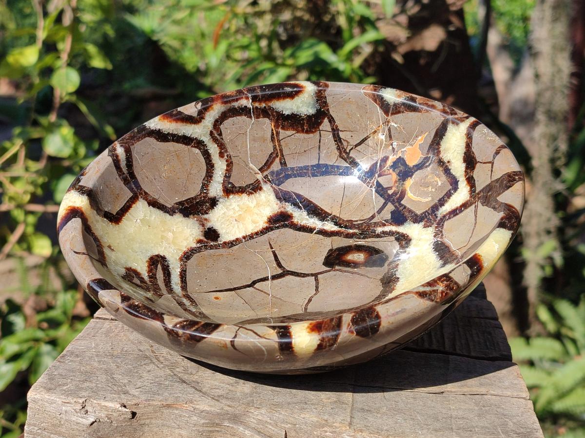 Polished Large Septerye Bowl x 1 From Mahajanga, Madagascar - Toprock Gemstones and Minerals 