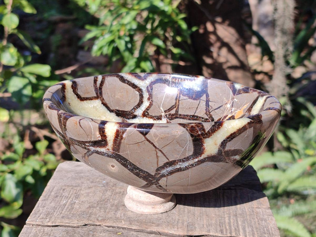 Polished Large Septerye Bowl x 1 From Mahajanga, Madagascar - Toprock Gemstones and Minerals 