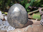 Polished Basalt Pharaoh Stone Free Forms x 4 From Iron Duke Mine, Zimbabwe - Toprock Gemstones and Minerals 