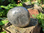 Polished Basalt Pharaoh Stone Free Forms x 4 From Iron Duke Mine, Zimbabwe - Toprock Gemstones and Minerals 
