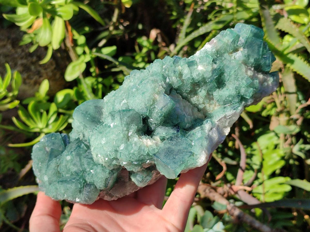 Natural Large Cabinet Size Green Cubic Fluorite Specimen x 1 From Mandrosonoro, Madagascar - Toprock Gemstones and Minerals 