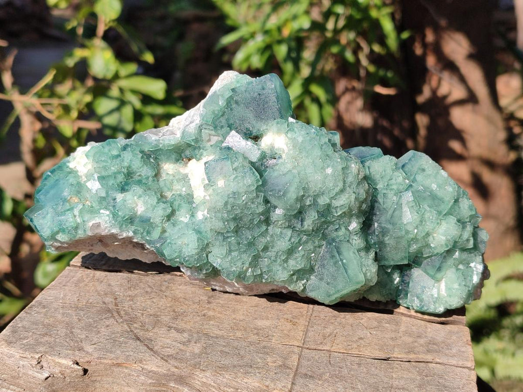 Natural Large Cabinet Size Green Cubic Fluorite Specimen x 1 From Mandrosonoro, Madagascar - Toprock Gemstones and Minerals 