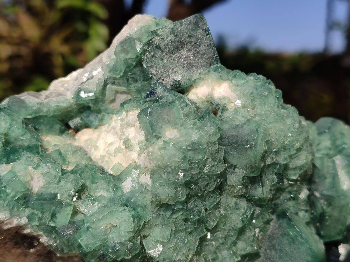 Natural Large Cabinet Size Green Cubic Fluorite Specimen x 1 From Mandrosonoro, Madagascar - Toprock Gemstones and Minerals 
