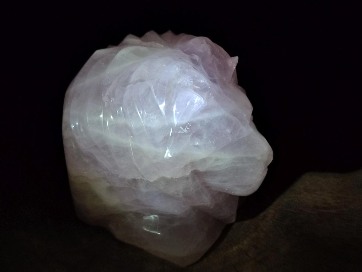 Polished Large Lion Head Rose Quartz Carving x 1 From Madagascar - Toprock Gemstones and Minerals 