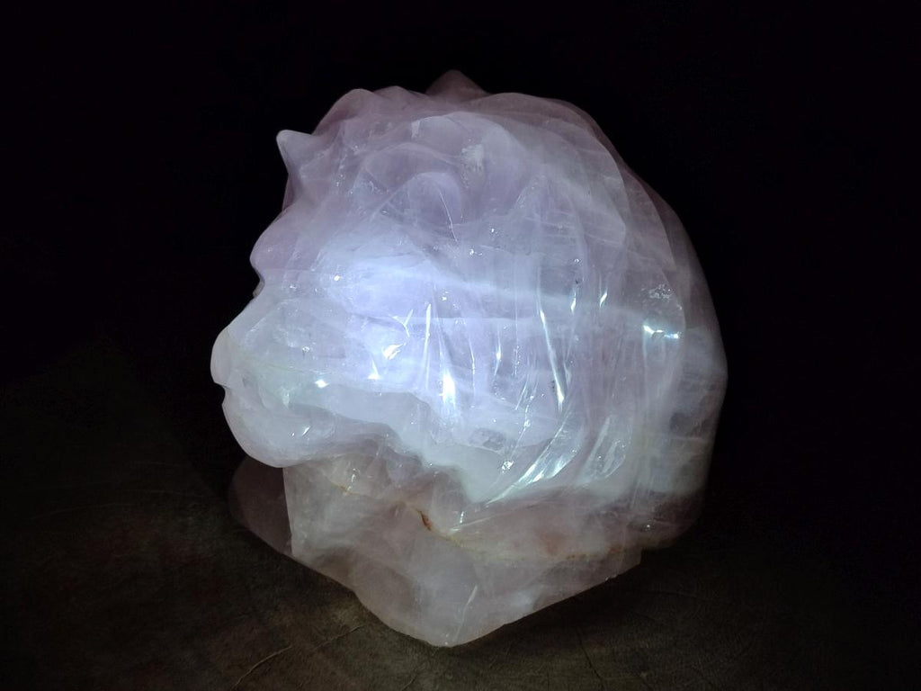 Polished Large Lion Head Rose Quartz Carving x 1 From Madagascar - Toprock Gemstones and Minerals 