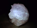 Polished Large Lion Head Rose Quartz Carving x 1 From Madagascar - Toprock Gemstones and Minerals 