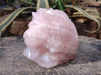Polished Large Lion Head Rose Quartz Carving x 1 From Madagascar - Toprock Gemstones and Minerals 