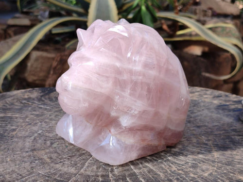 Polished Large Lion Head Rose Quartz Carving x 1 From Madagascar - Toprock Gemstones and Minerals 