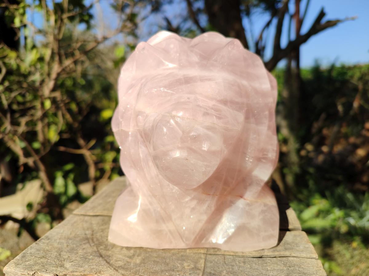 Polished Large Lion Head Rose Quartz Carving x 1 From Madagascar - Toprock Gemstones and Minerals 
